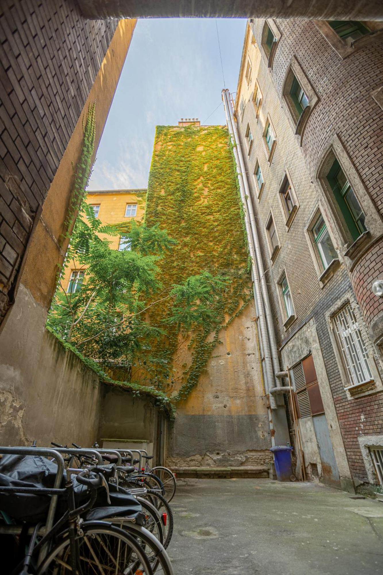 Velvet Vista Apartment Budapest Eksteriør billede